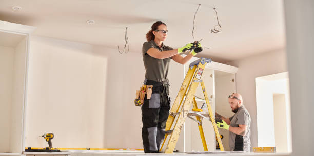 Best Electric Panel Repair  in Murillo, TX
